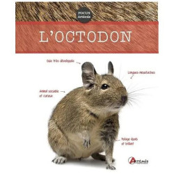 L'octodon