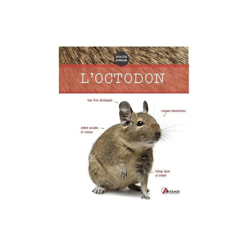 L'octodon