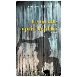 Le Monde Après La Pluie