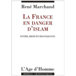 La France En Danger D'islam - Entre Jihâd Et Reconquista