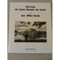 Portrait De Saint-Benoît-Du-Sault
