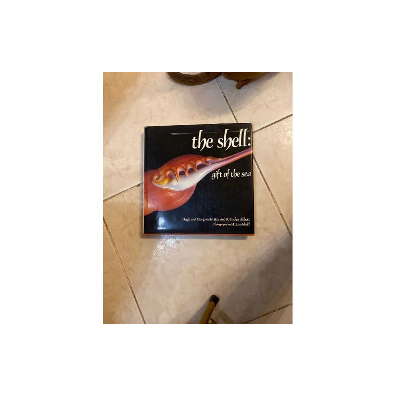 THE SHELL - GIFT OF THE SEA
