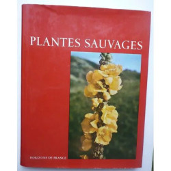 Plantes Sauvages