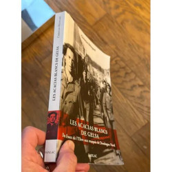 Les acacias blancs de gelsa