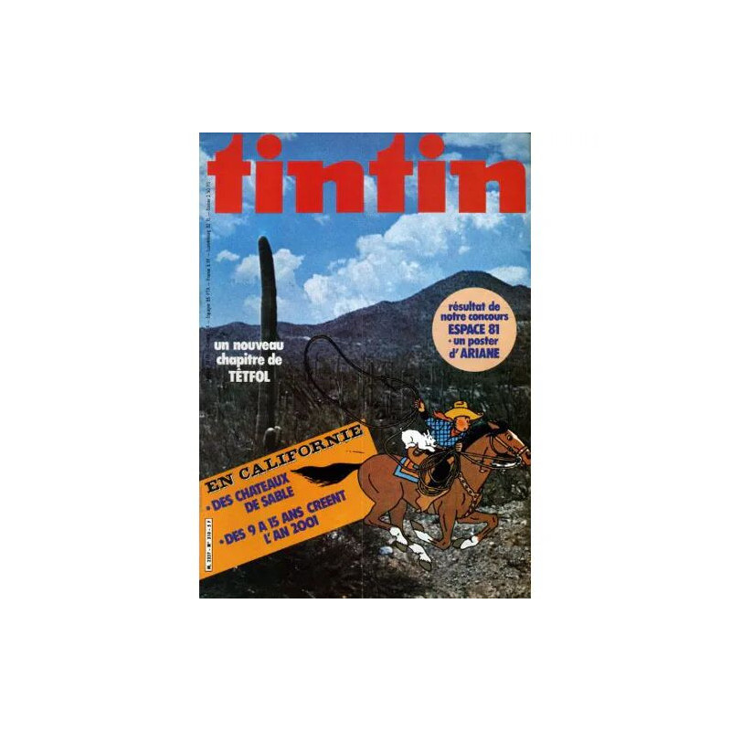 Nouveau Journal de Tintin N° 310 : Des chateaux de sable en...