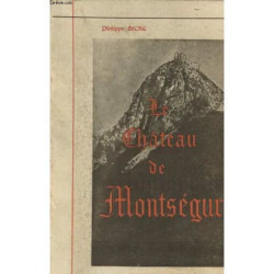 Le Chateau De Montsegur