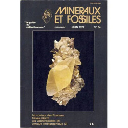 minéraux et fossiles 54