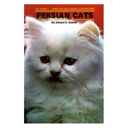 Persian Cats