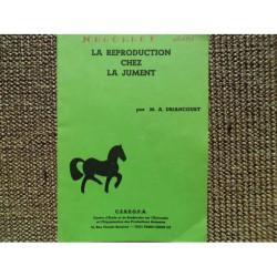 La reproduction chez la jument