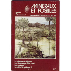 minéraux et fossiles 50