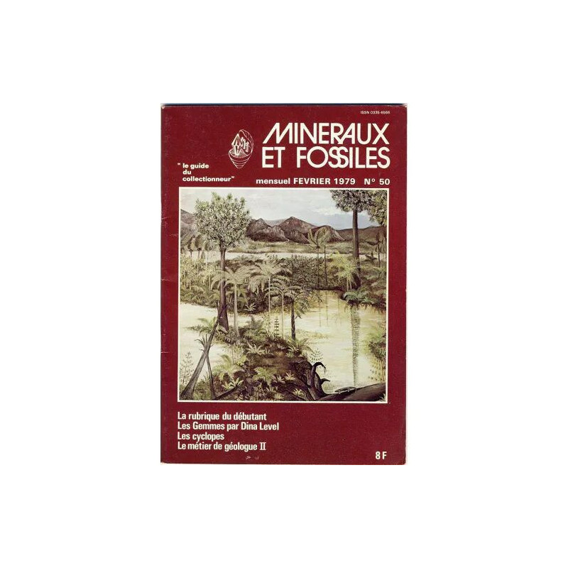 minéraux et fossiles 50