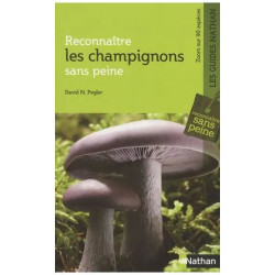 Reconnaître Les Champignons Sans Peine