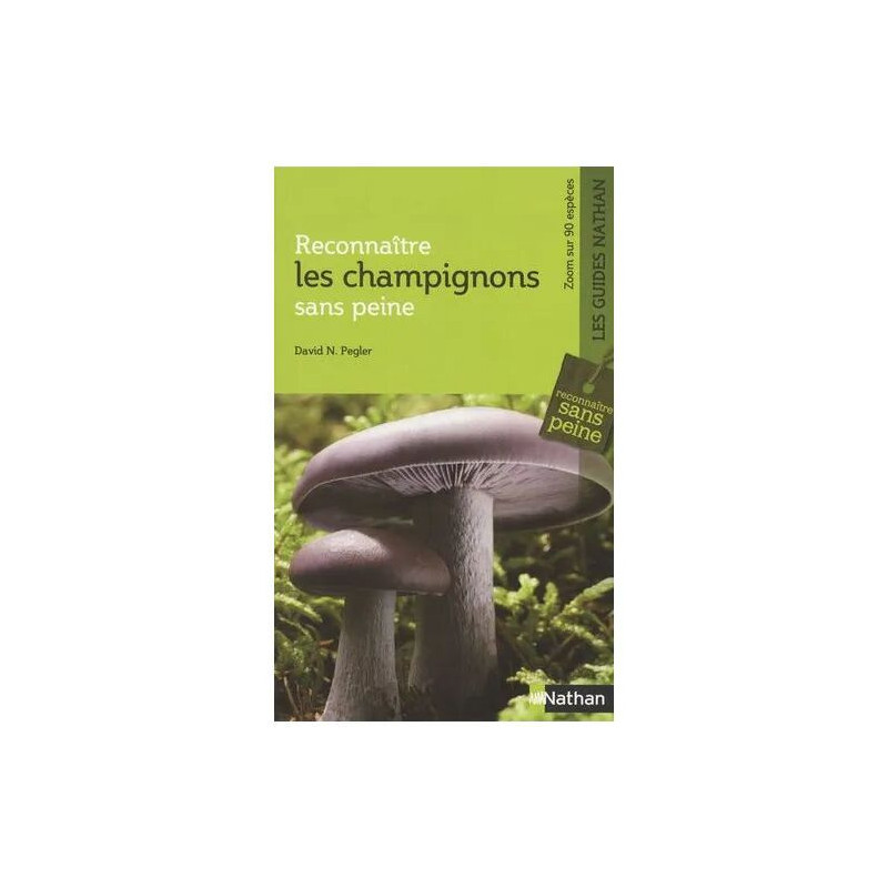 Reconnaître Les Champignons Sans Peine
