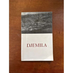 DJEMILA ALGER 1968 PAR PAUL ALBERT FEVRIER