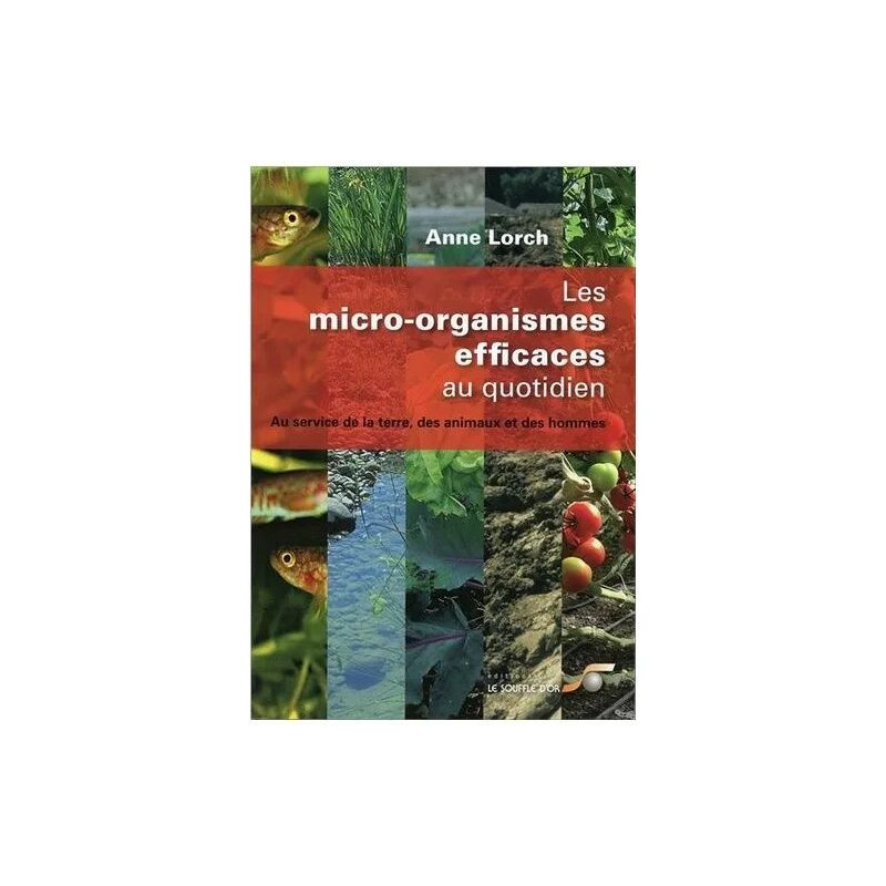 Les Micro-Organismes Efficaces Au Quotidien - Au Service De La...