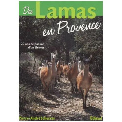 Des Lamas En Provence - 20 Années De Passion D'un Éleveur