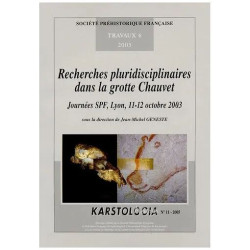 Recherches Pluridisciplinaires Dans La Grotte Chauvet - Journées...