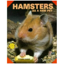 Hamsters As A New Pet