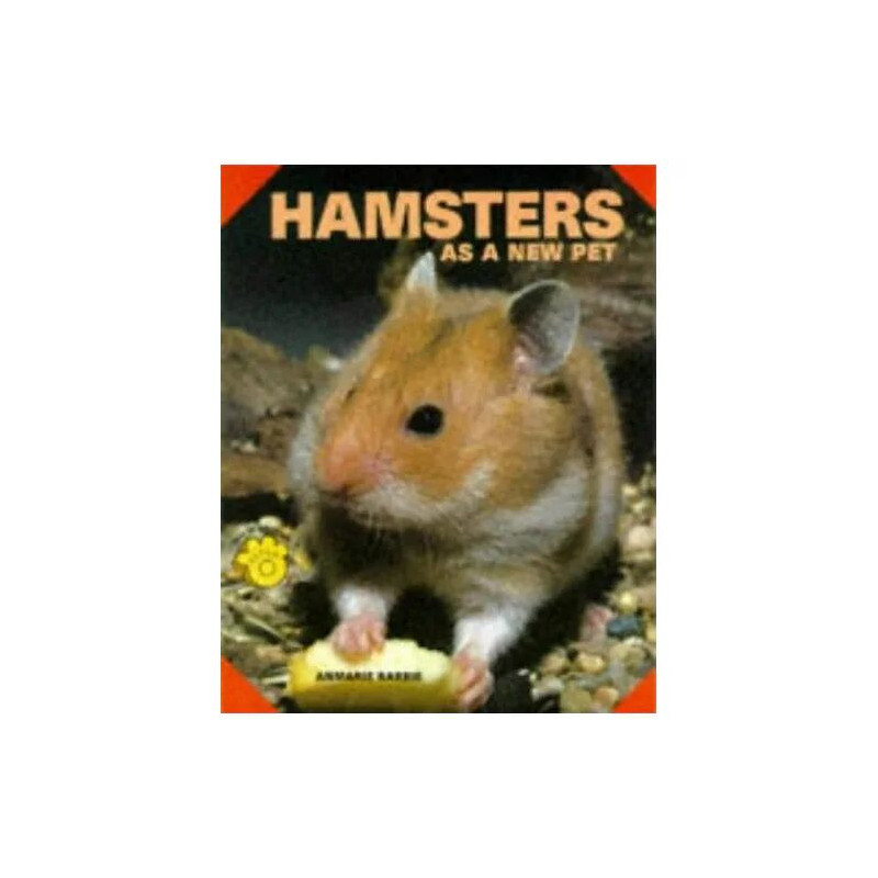 Hamsters As A New Pet