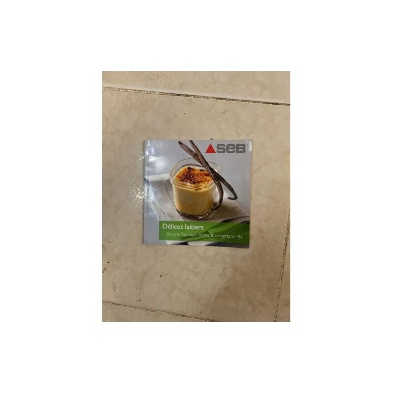 SEB - DELICES LAITIERS - YAOURTS FROMAGES BLANCS ET DESSERTS LACTES