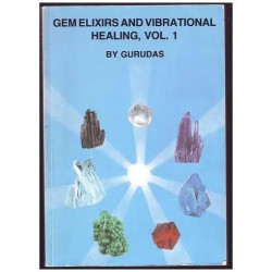 Gem Elixirs And Vibrational Healing: V.1