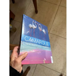 CAMARGUE - UNE HISTOIRE ENTRE RHONE ET MEDITERRANEE - FREDERIC SIMIEN