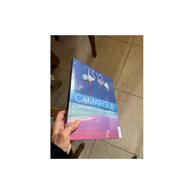 CAMARGUE - UNE HISTOIRE ENTRE RHONE ET MEDITERRANEE - FREDERIC SIMIEN