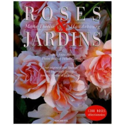 Roses Et Jardins